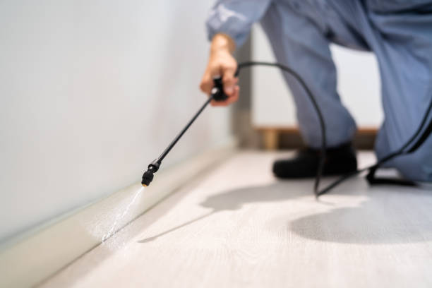 Licensed Rodent Control service in Bingham County County, ID - Nex Pest Control